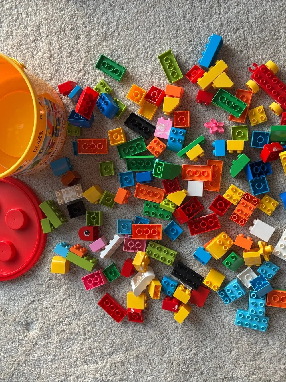 burgkidz Animal Building Toy block set
